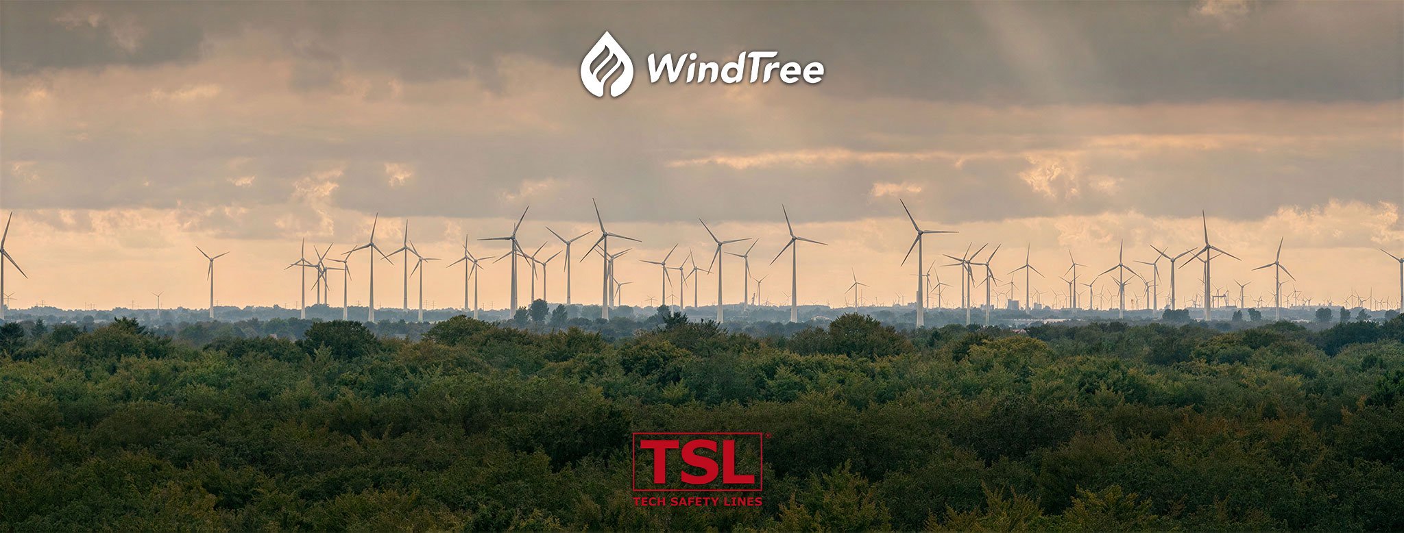 WT-TSL-Header