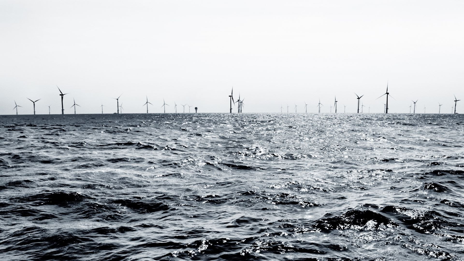 unnamed (1)-Nov-12-2025-09-43-09-0300-AM