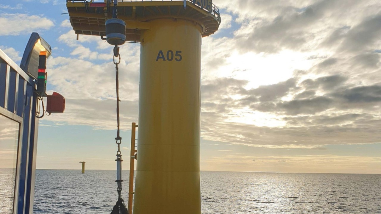 Ridgeway: Innovating Offshore Wind Protection with Kyowa Rockbags® image