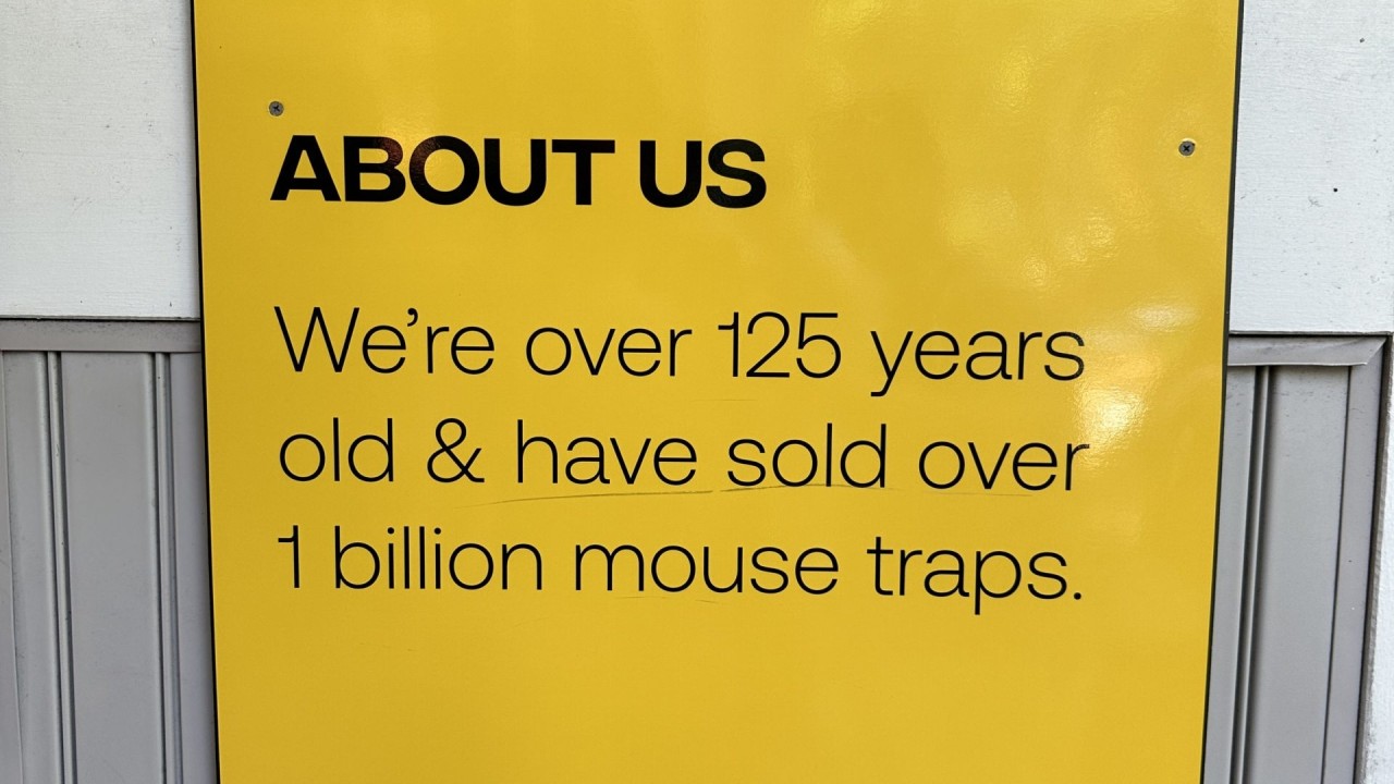 Balancing Innovation & Reliability in Wind Energy image