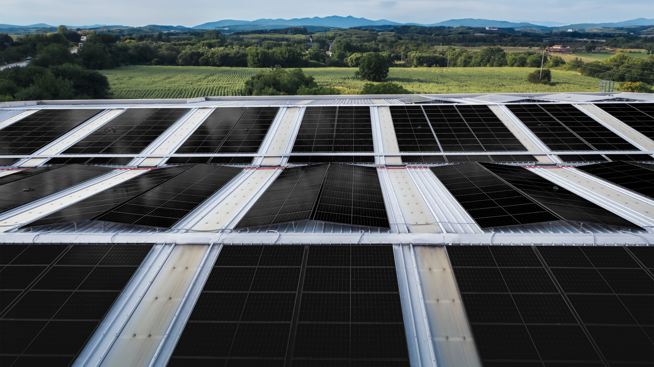 Prioritising sustainability and innovation image