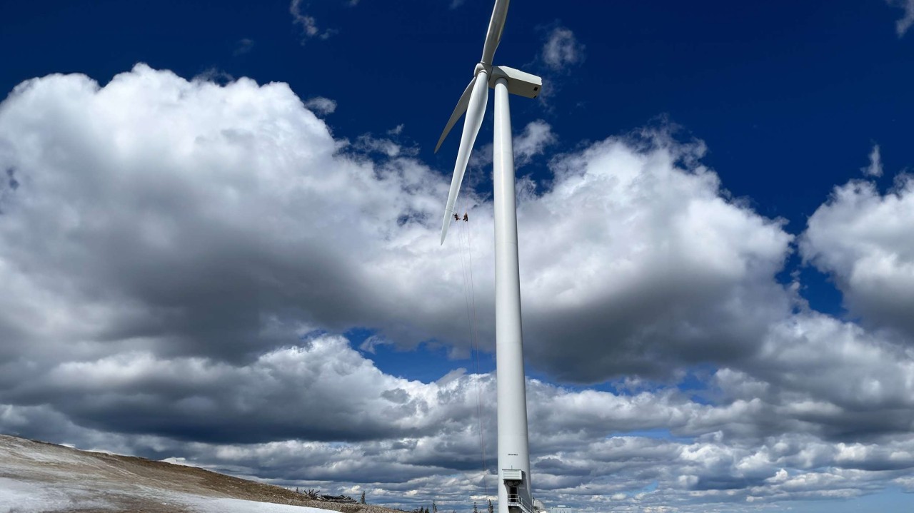 Bergolin: A Legacy of Innovation in Coatings image