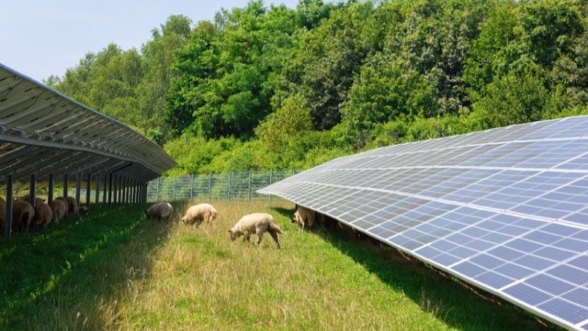 Agri-PV: merging solar power with agriculture image