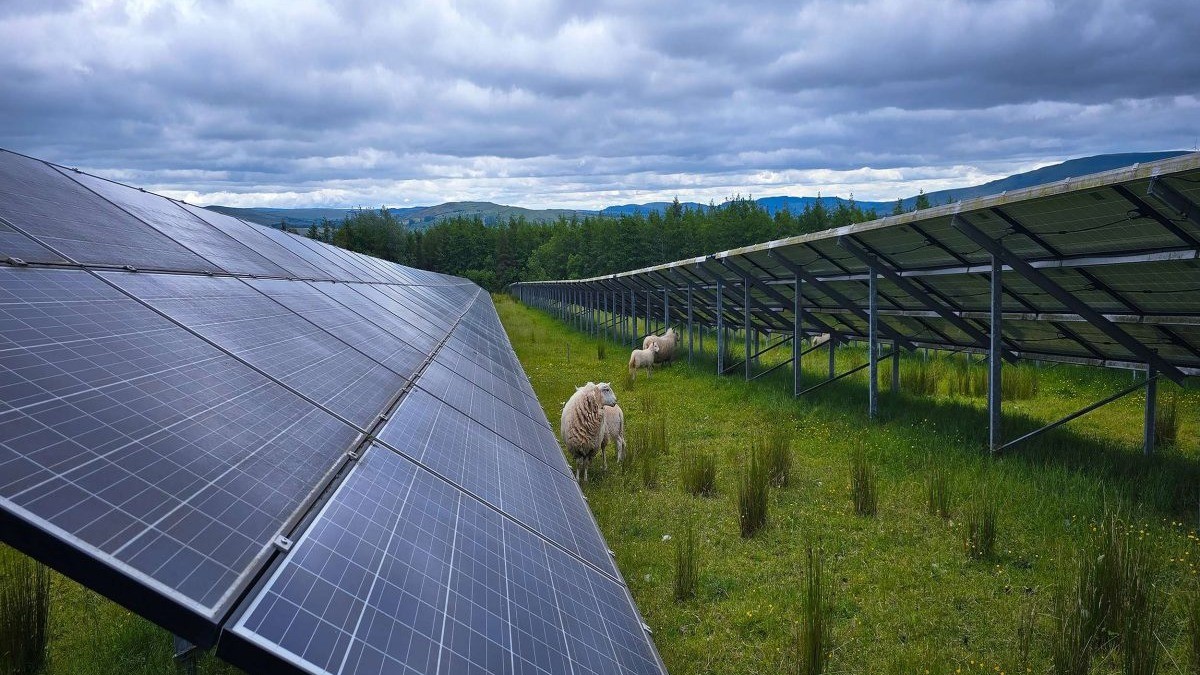 A new dawn in solar O&M: remote, repowered and repaired image