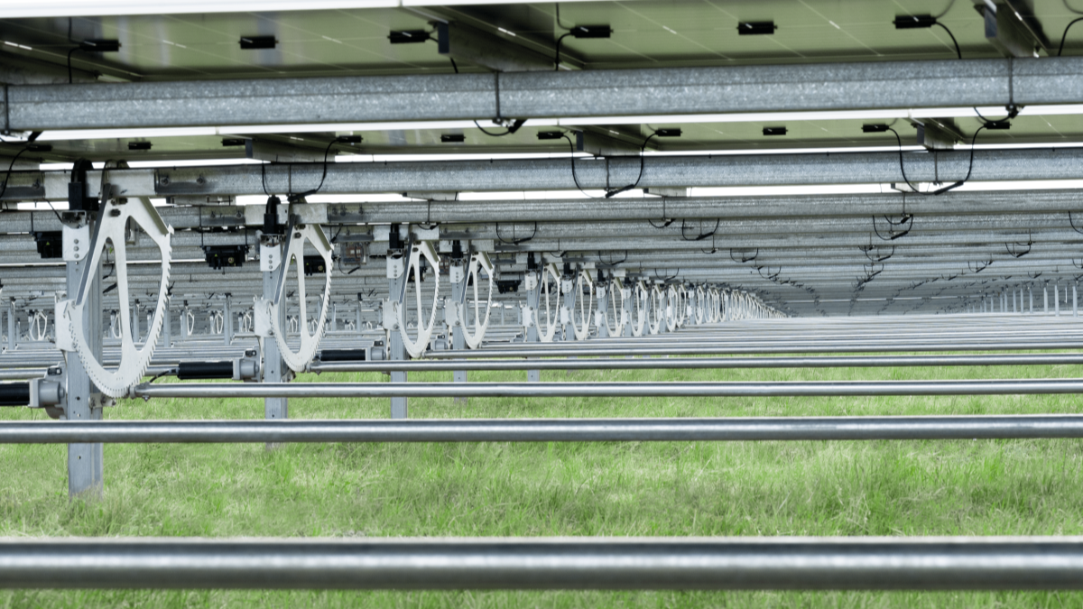 Transforming solar energy with tracking technology image