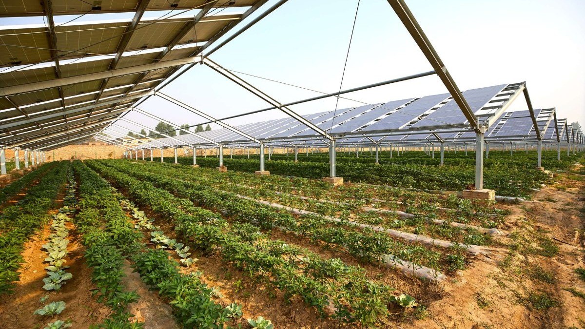 Solar’s Expanding Role in the Global Energy Transition: Trends, Innovation, and Floating PV Insights image