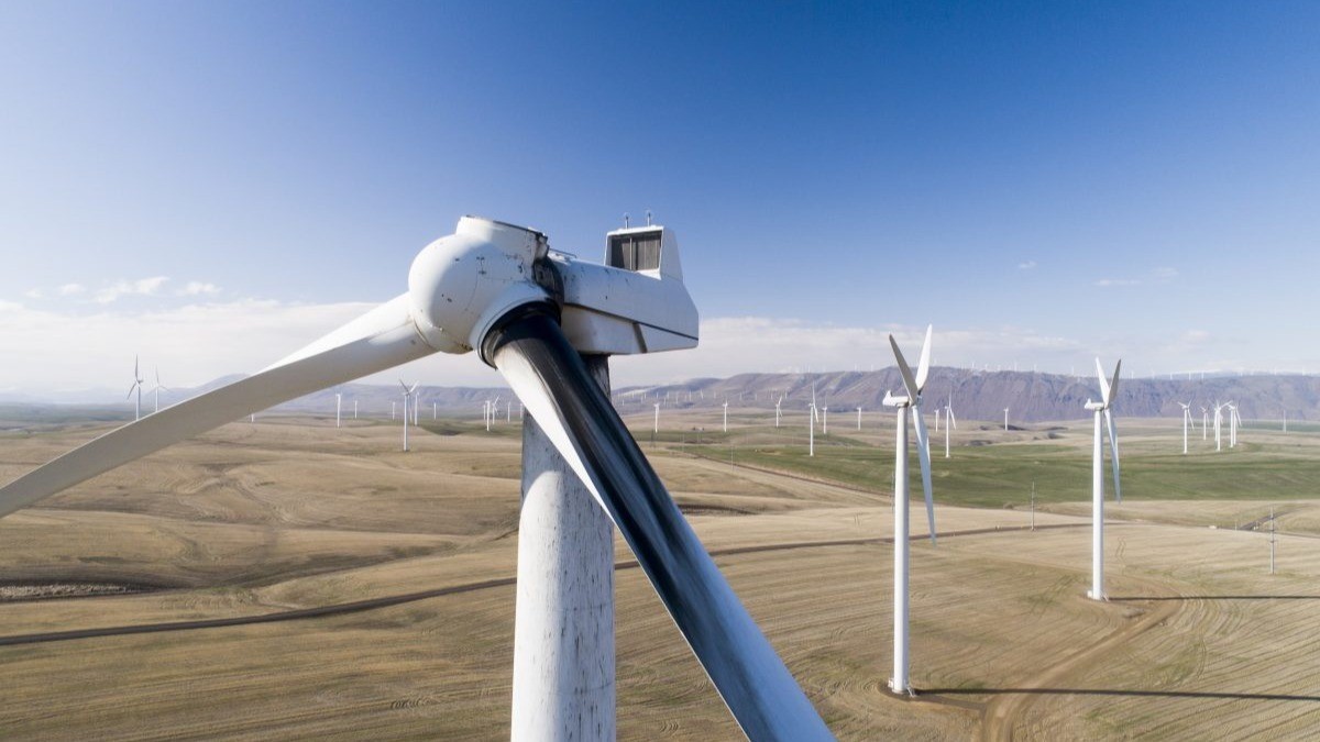 Blade Root Failures in Focus: How to Act, Not Just React image