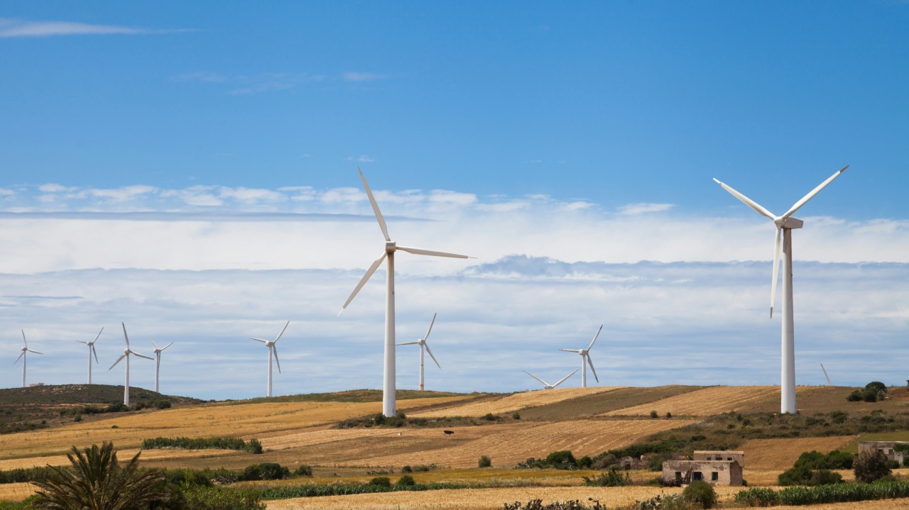 Beyond the Turbine: Reshaping Leadership for Wind Energy's Next Era image