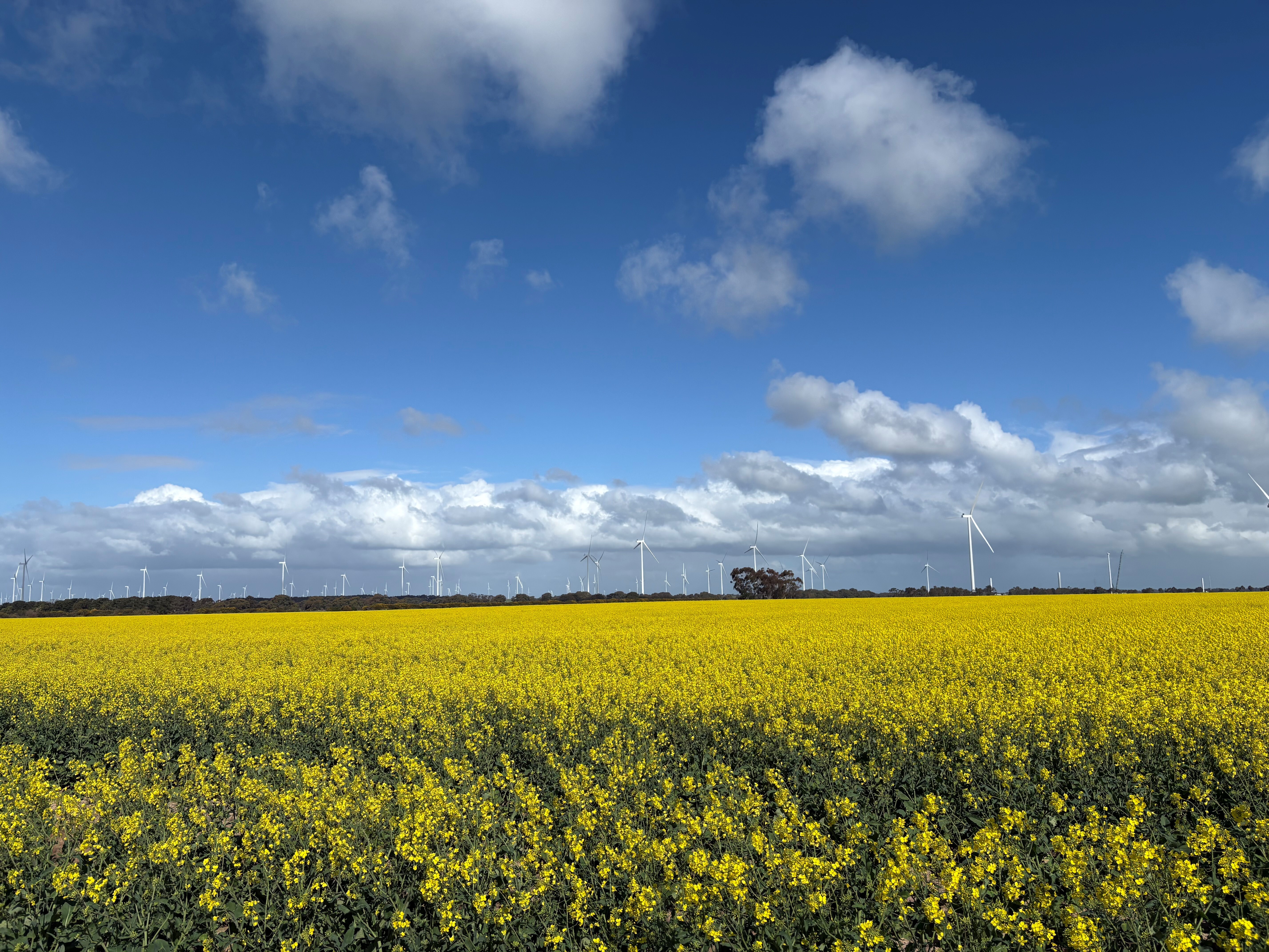 FairWind strengthens Australia foothold with eight-figure deal for onshore wind farm image