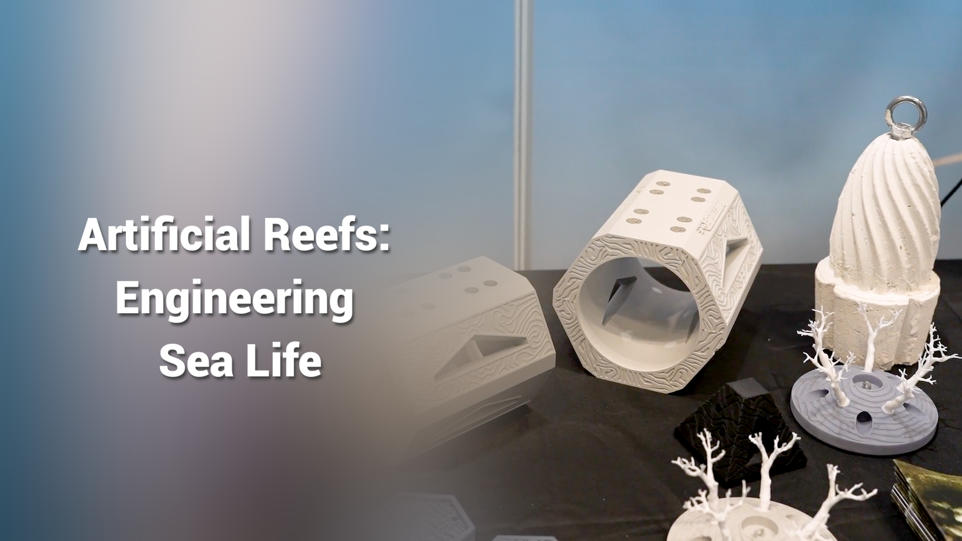 How Exo Engineering Promotes Artificial Reefs and Engineering Sea Life | In conversation image