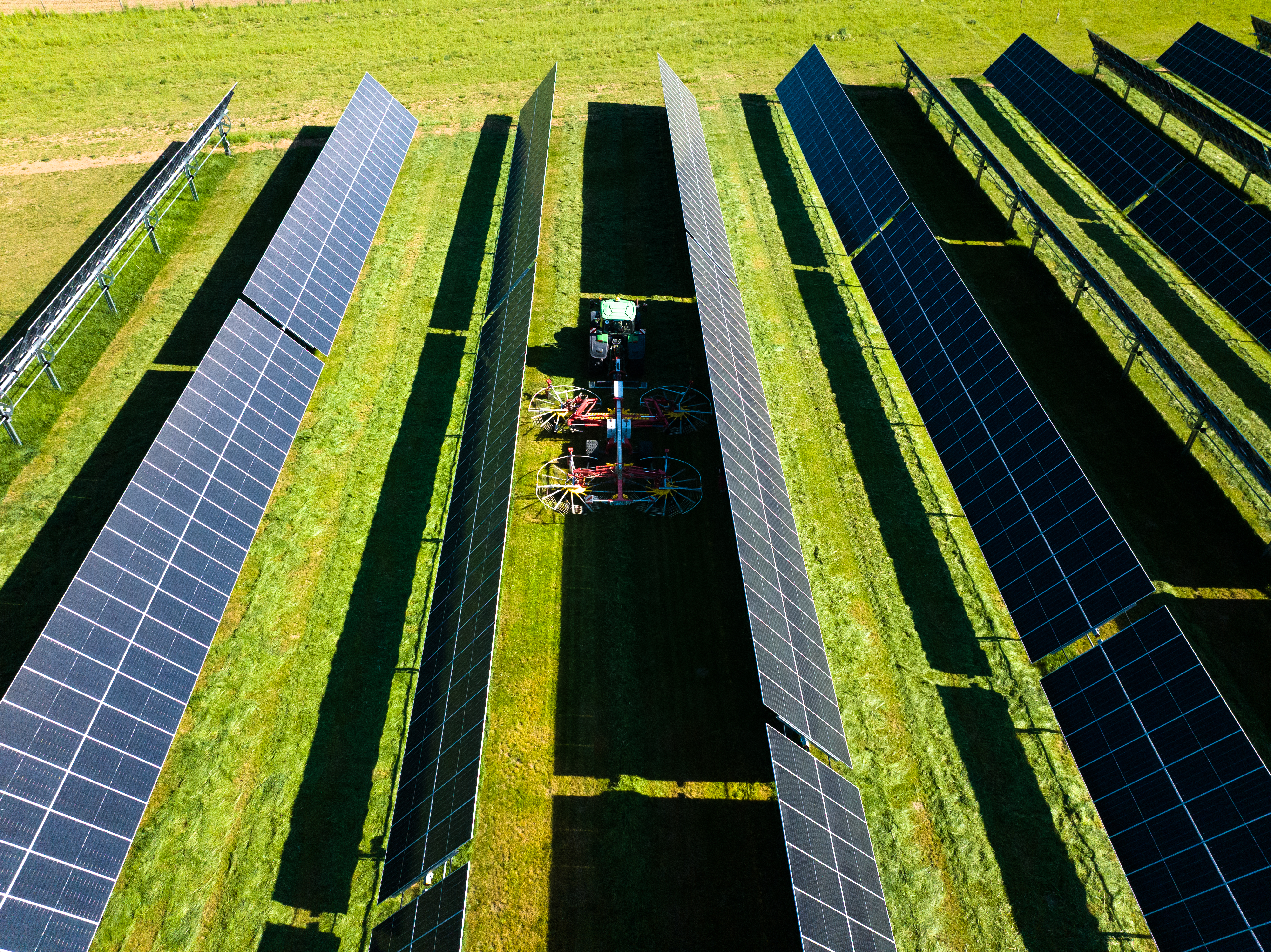 Why tracker choice is becoming critical for utility-scale AgriPV image
