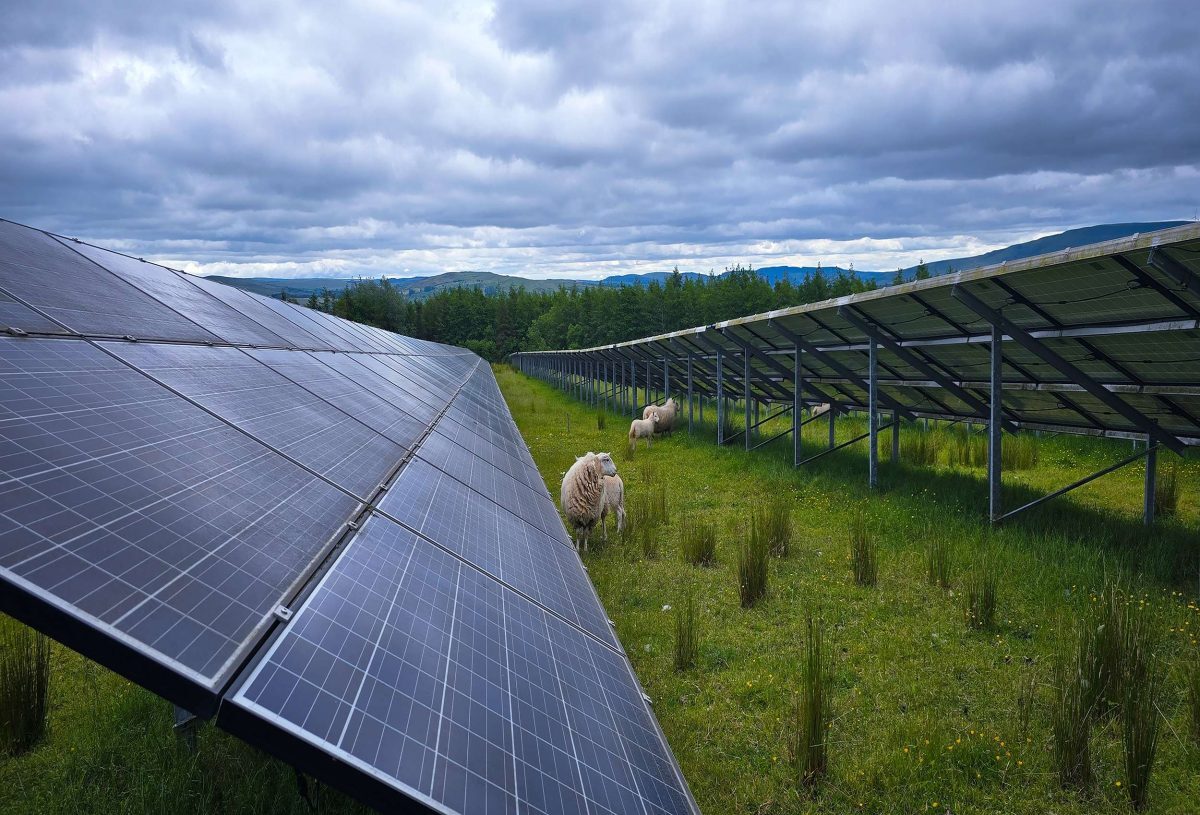 A new dawn in solar O&M: remote, repowered and repaired image