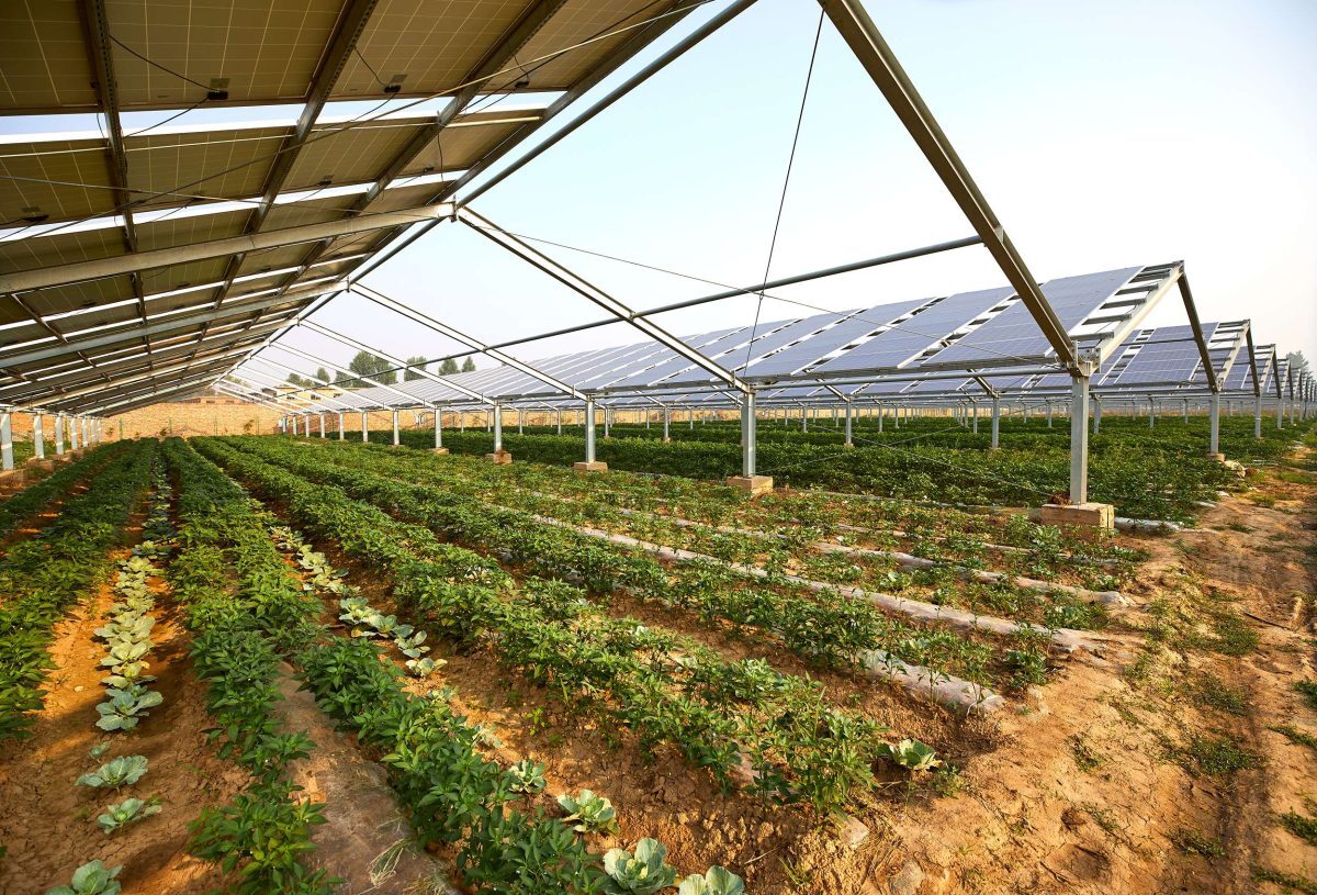 Solar surge heralds a bright future image