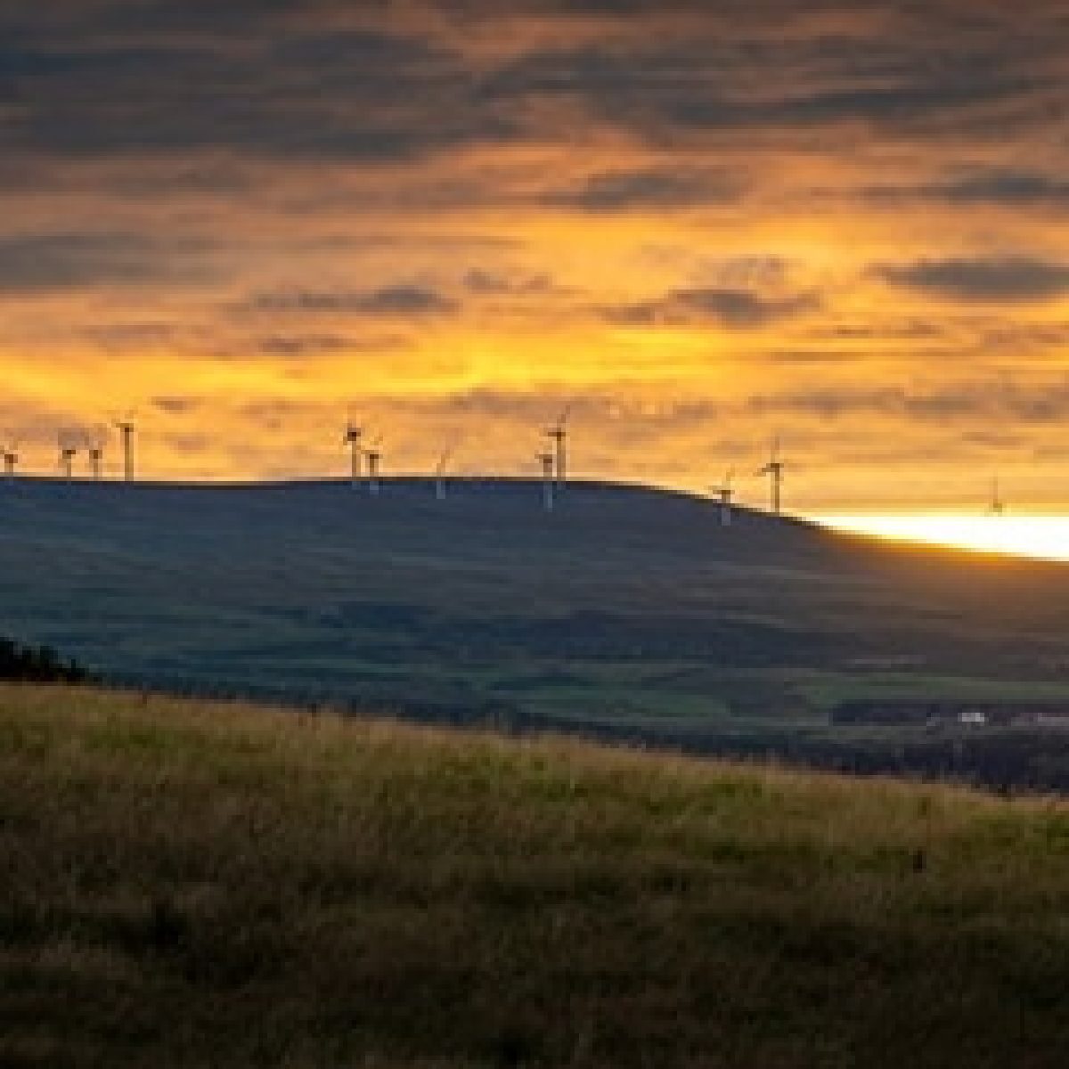 Energy industry unites and calls on government to build back greener ahead of COP26 image