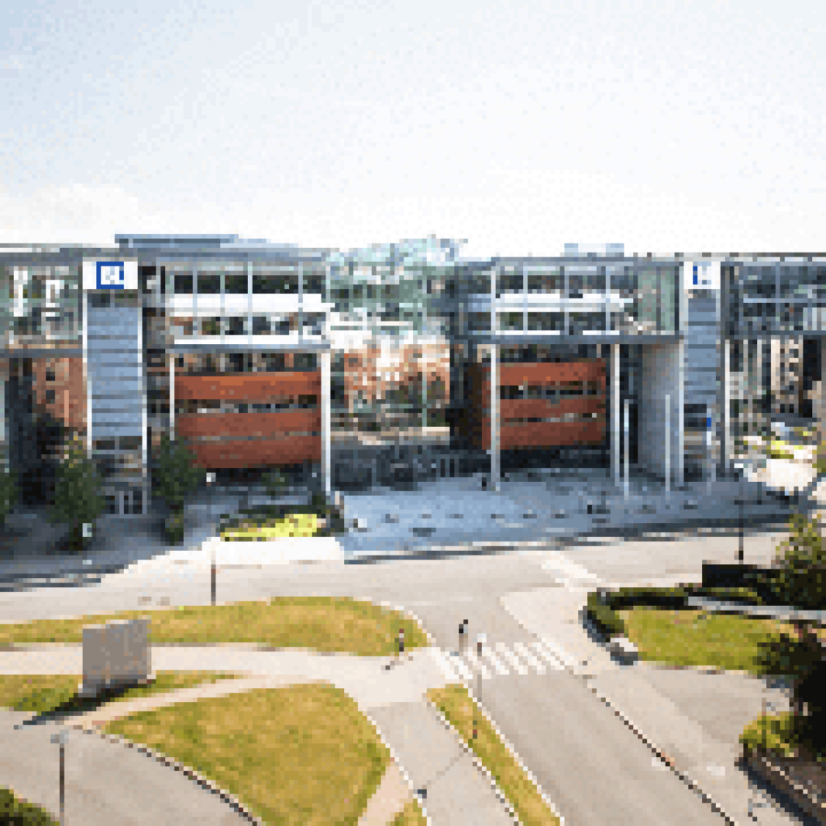 New degree combining sustainability with finance launched by top business school image