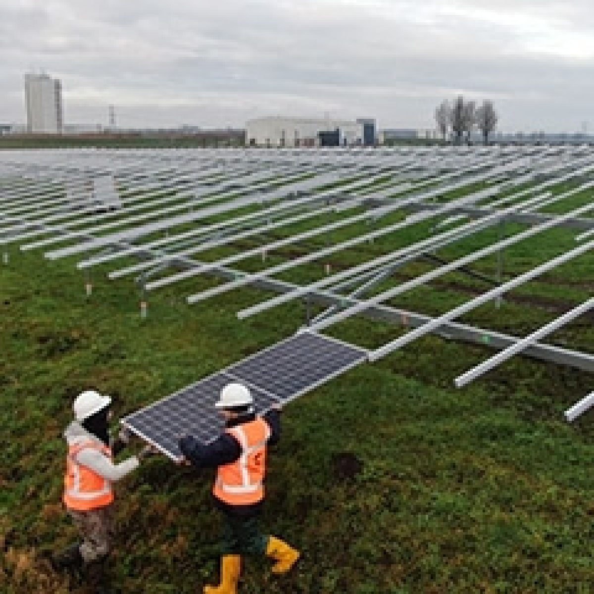 LONGi cooperates with PowerField to develop solar park in the Netherlands image