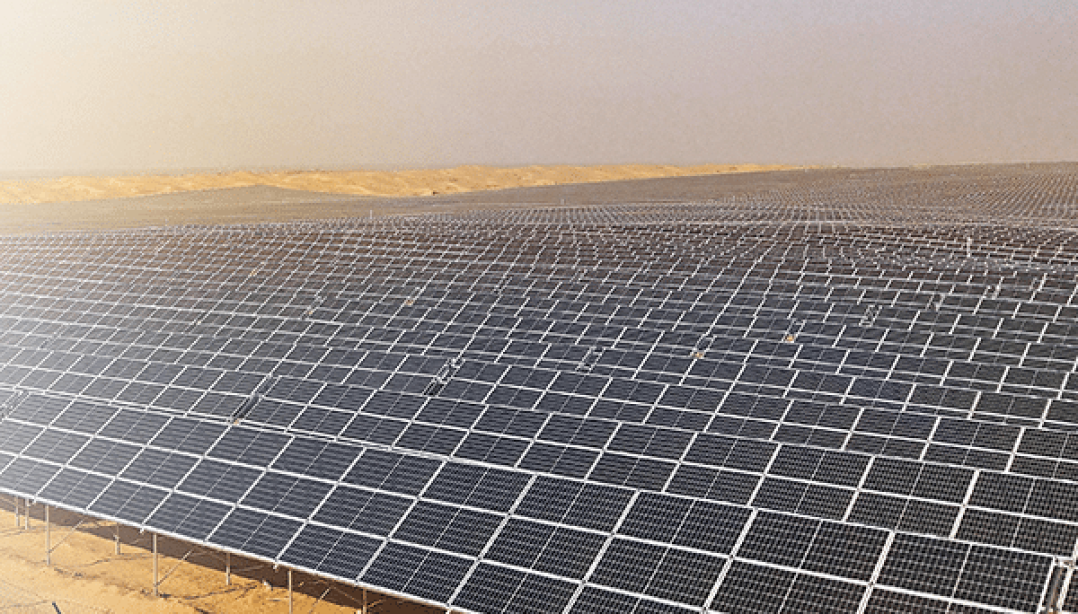 EXUS WINS CIP ASSET MANAGEMENT CONTRACT FOR 477MW FIGHTING JAYS SOLAR FARM image