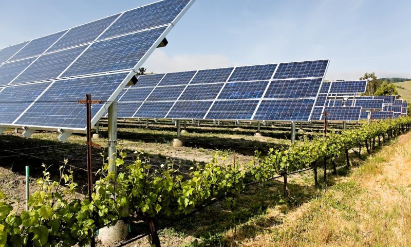 Agriovoltaics: Synergy between Solar Energy and Sustainable Agriculture for Mexico image
