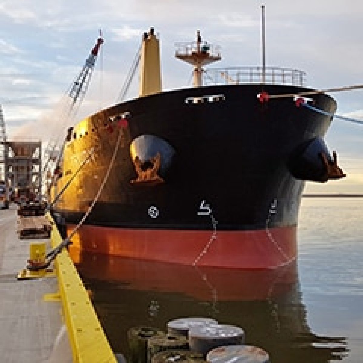 MINSHIP embarks on bulk carrier biofuel trial in quest for carbon neutral shipping image