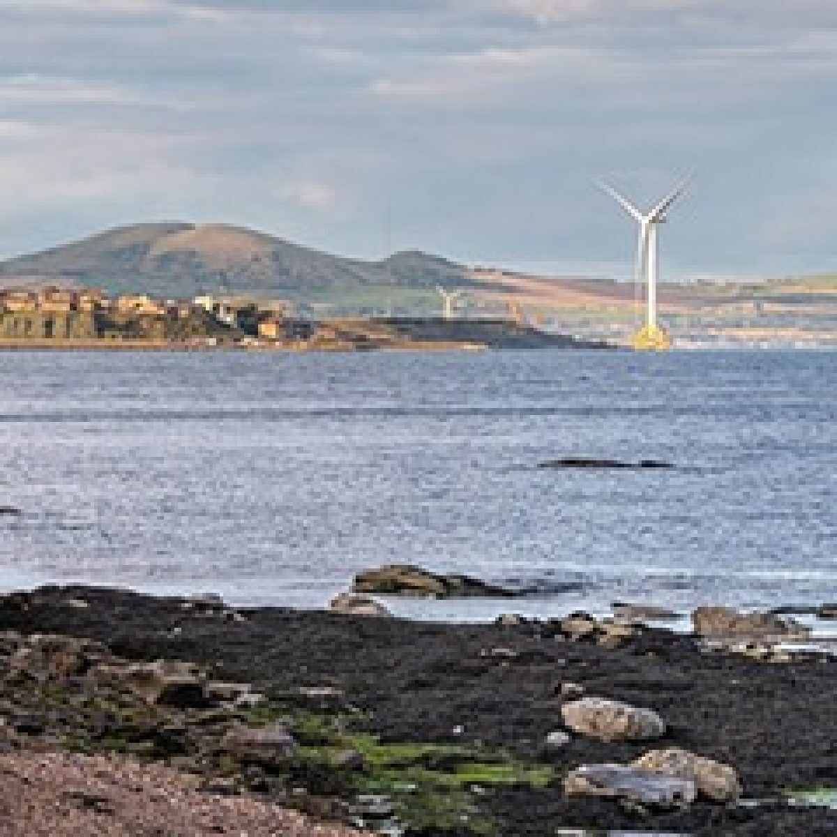 Energy Networks Association publishes Scottish Manifesto image