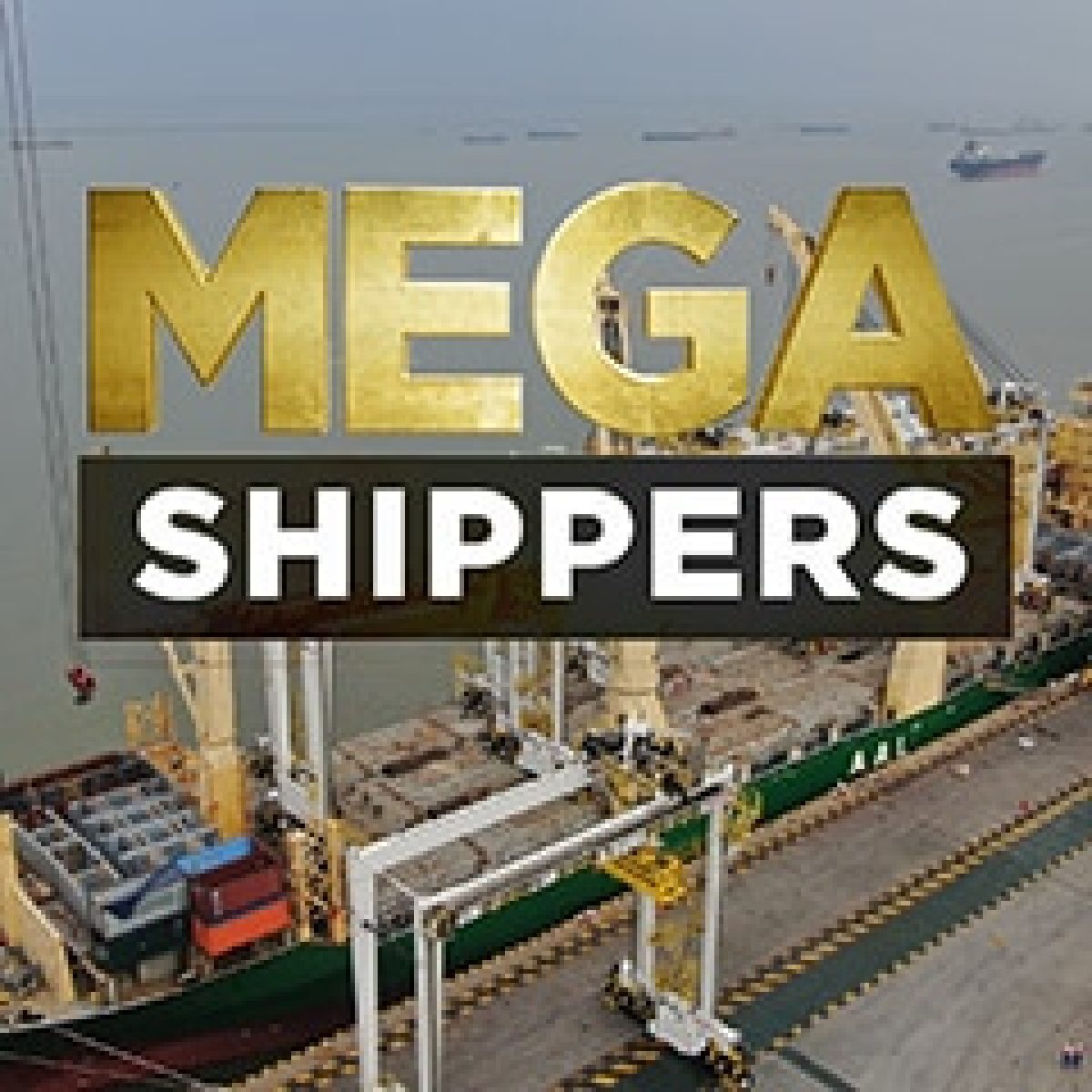 AAL CELEBRATES 25TH ANNIVERSARY BY STARRING IN DISCOVERY'S 'MEGA SHIPPERS' image