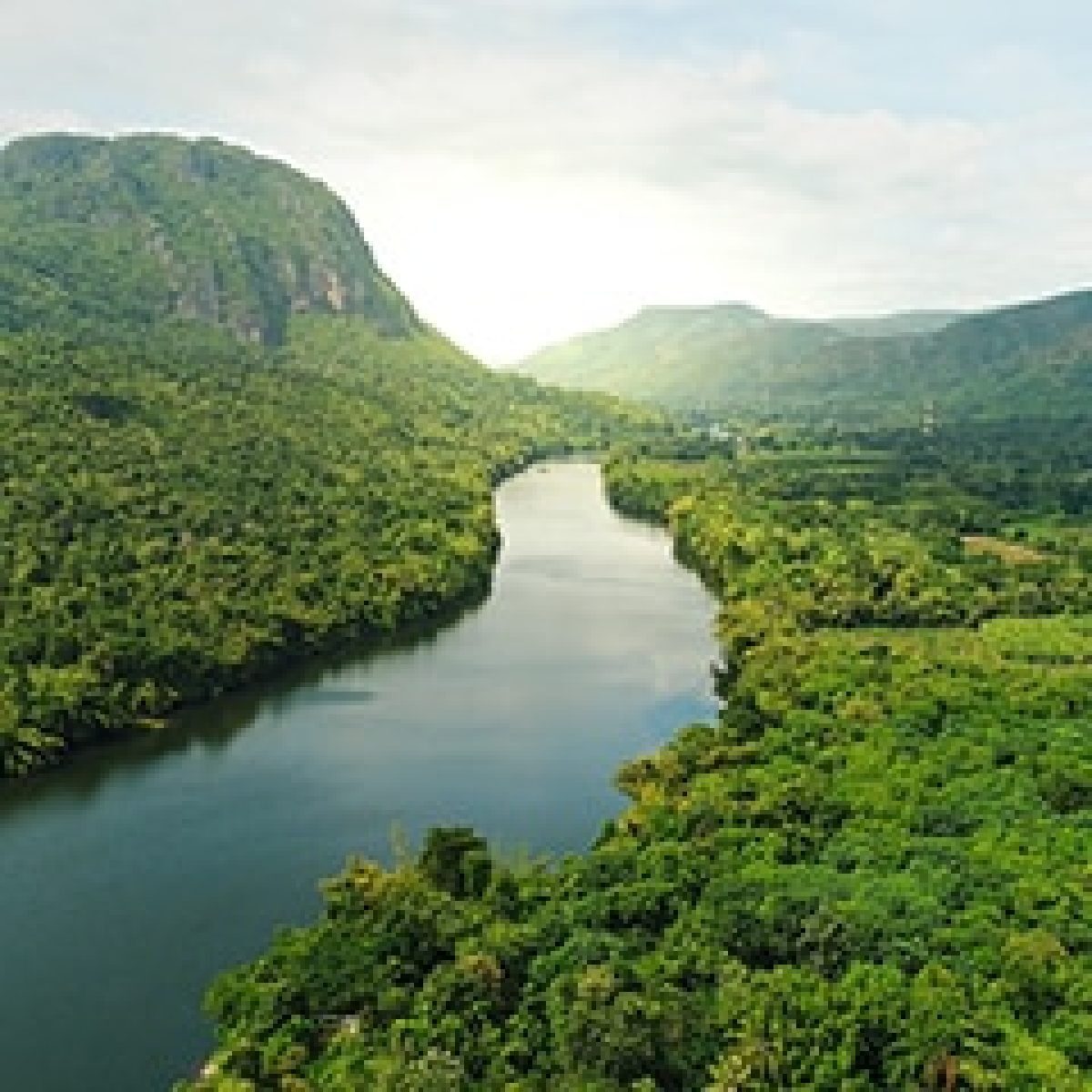 ABB strengthens commitment to reduce carbon emissions image