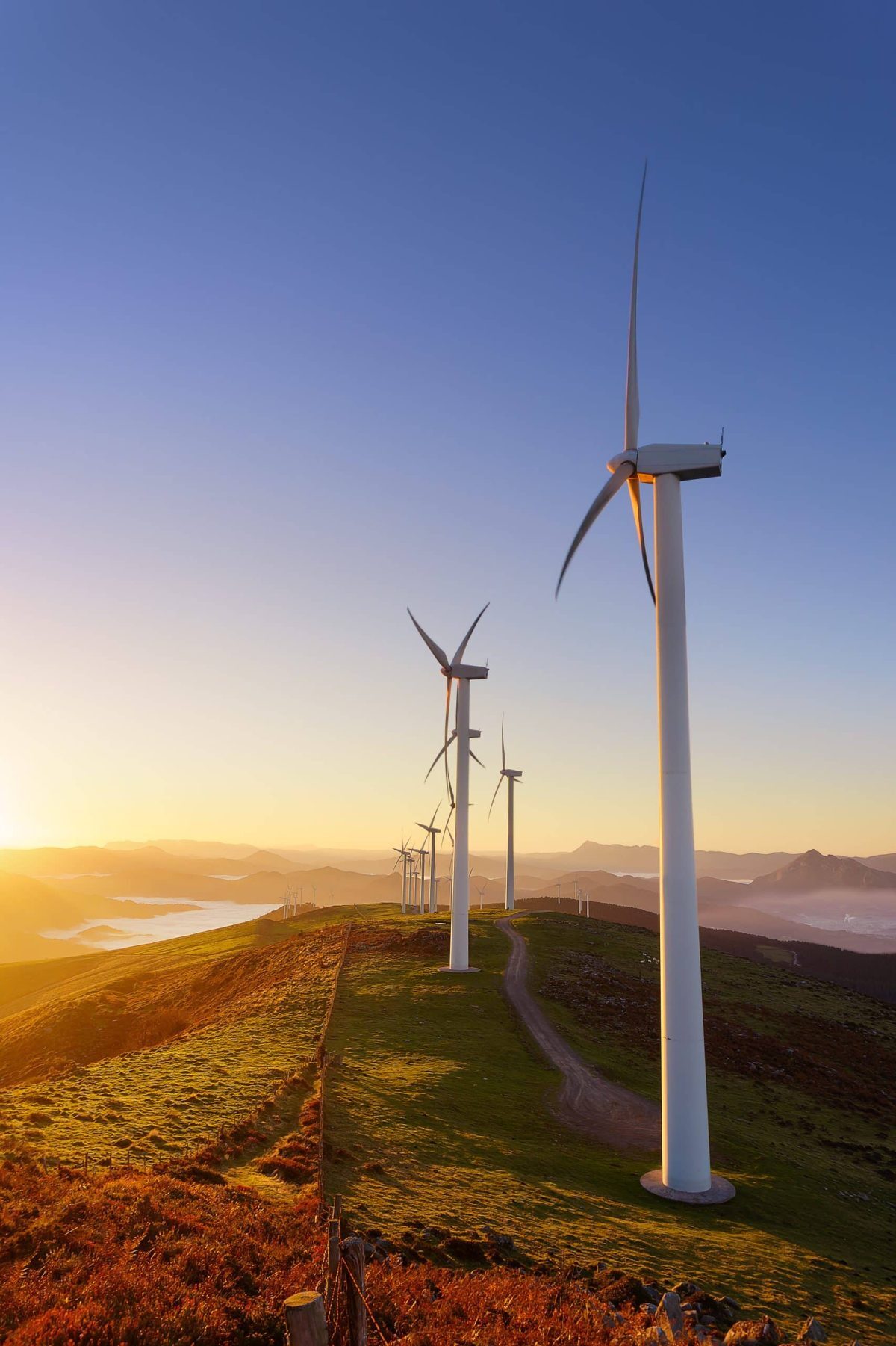 Navigating the supply chain through innovation and personalisation image