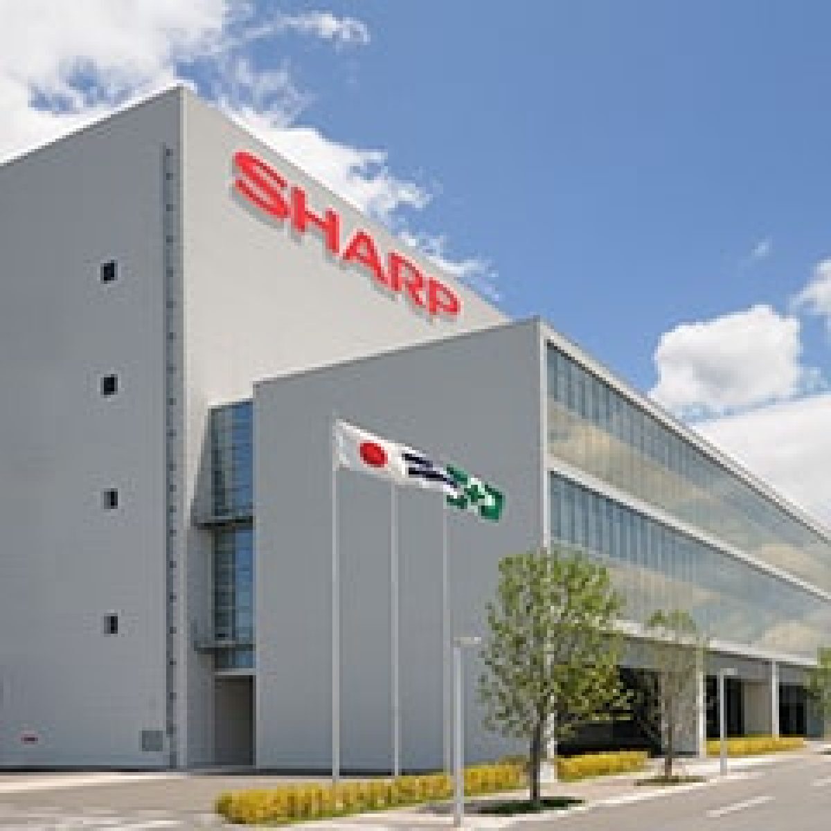 Sharp launches new stylish black half-cut cell PV panel image