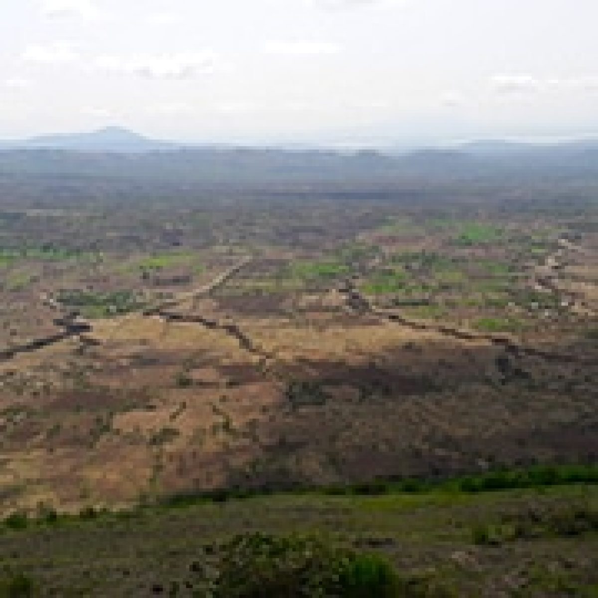 Siemens Gamesa seals its first wind farm project in Ethiopia, expanding its leadership in Africa image