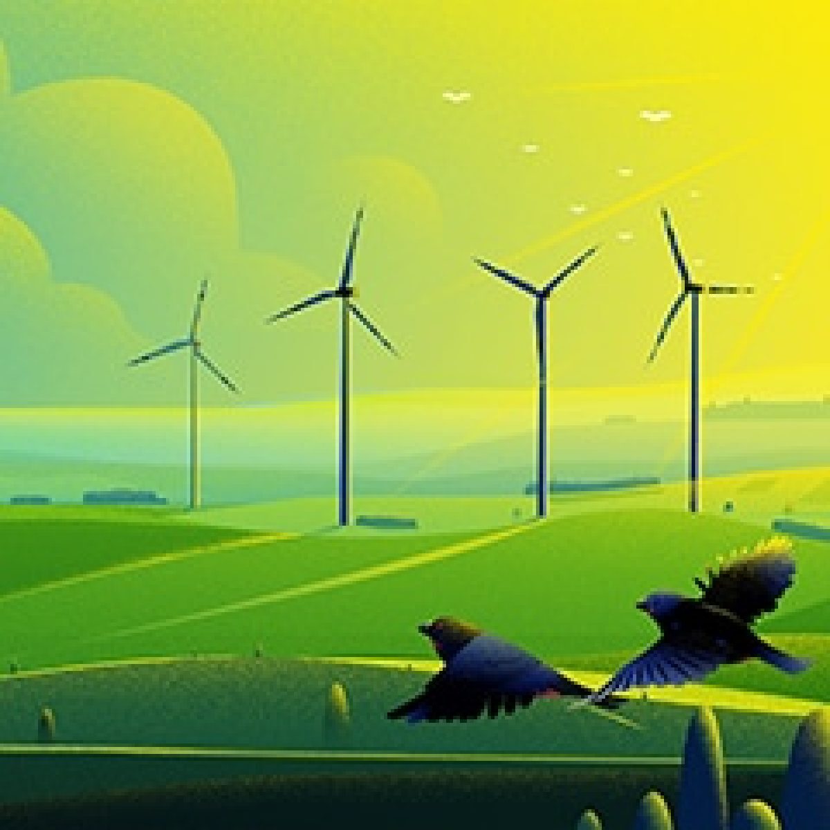 Blackfinch Energy starts new year on a high image