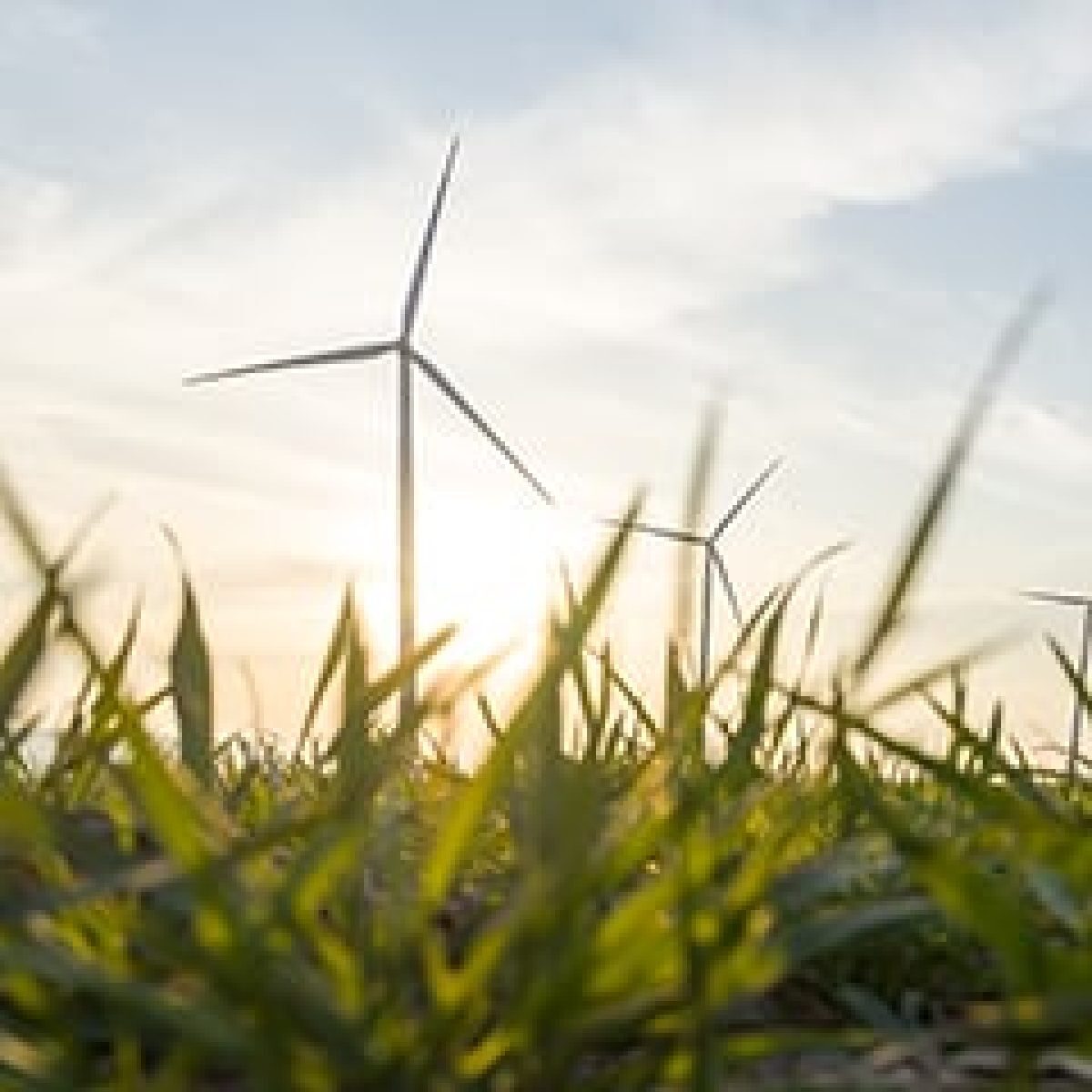 Nordex Group receives order for 62 MW from the UK image