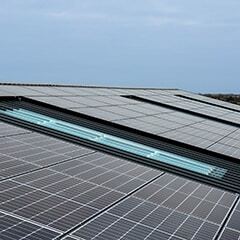 Q CELLS solar modules keeping the lights on for Dutch bulb grower image