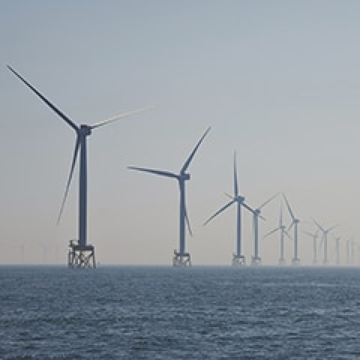 Iberdrola Financial Results H1 2020 image