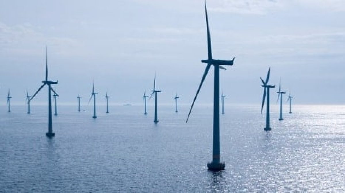 A dozen North East businesses chosen for award-winning offshore renewables supply chain programme image