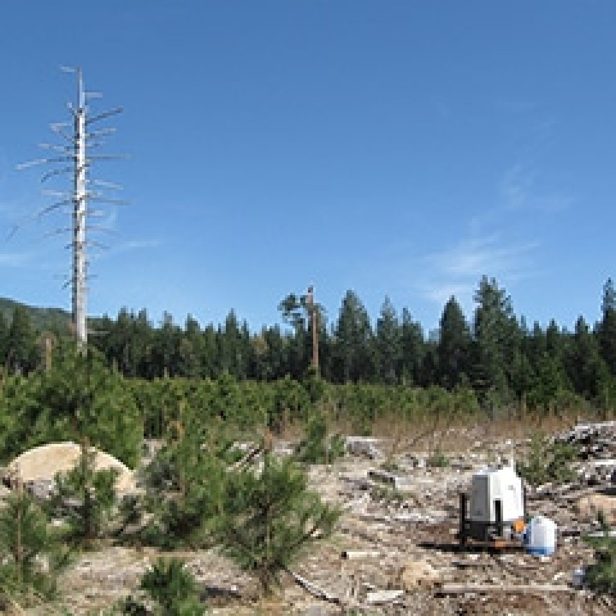 ZX Lidars excels at wind measurements in complex terrain image