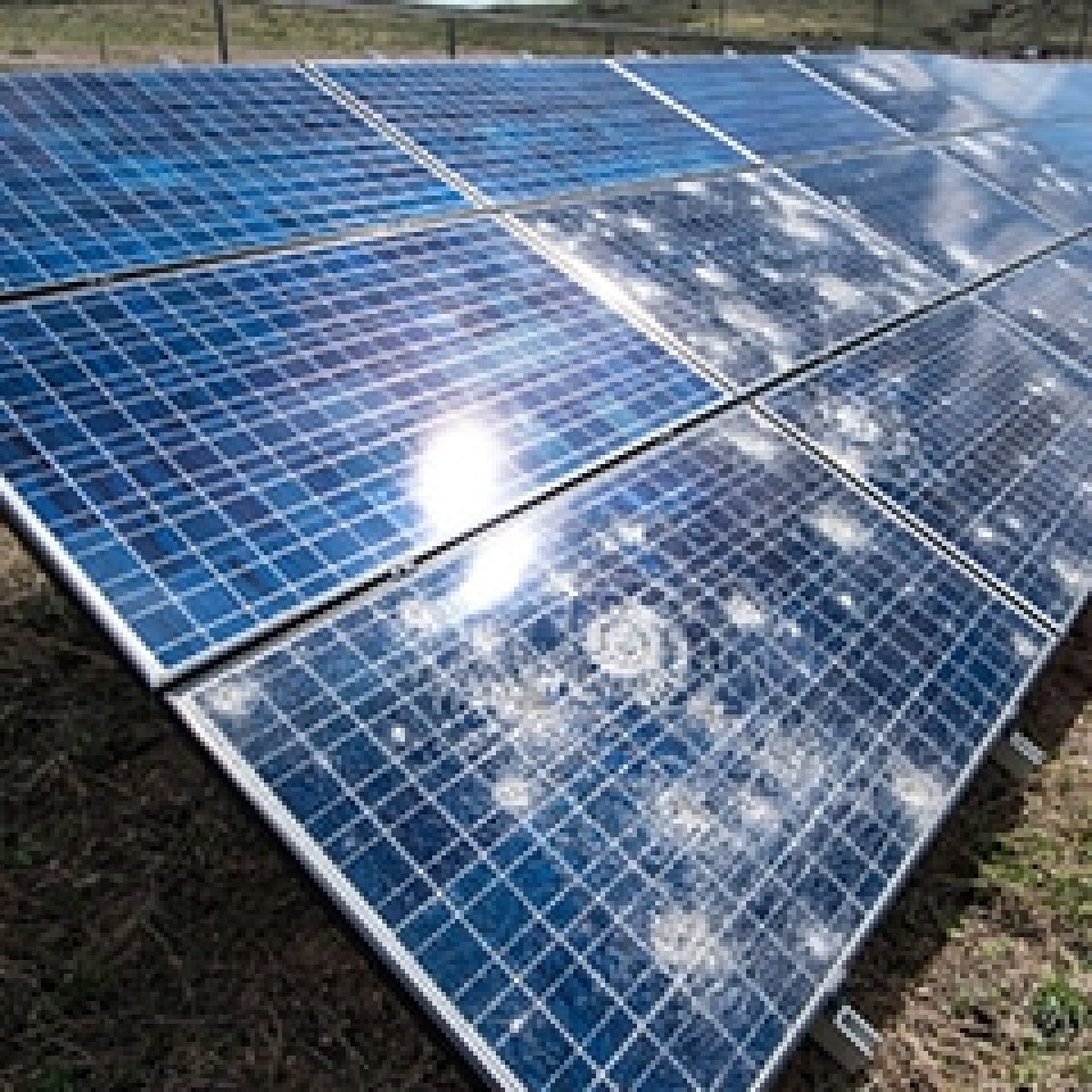 Utility Solar Leaders Discuss Strategies on Reducing Losses from Extreme Weather Damage image