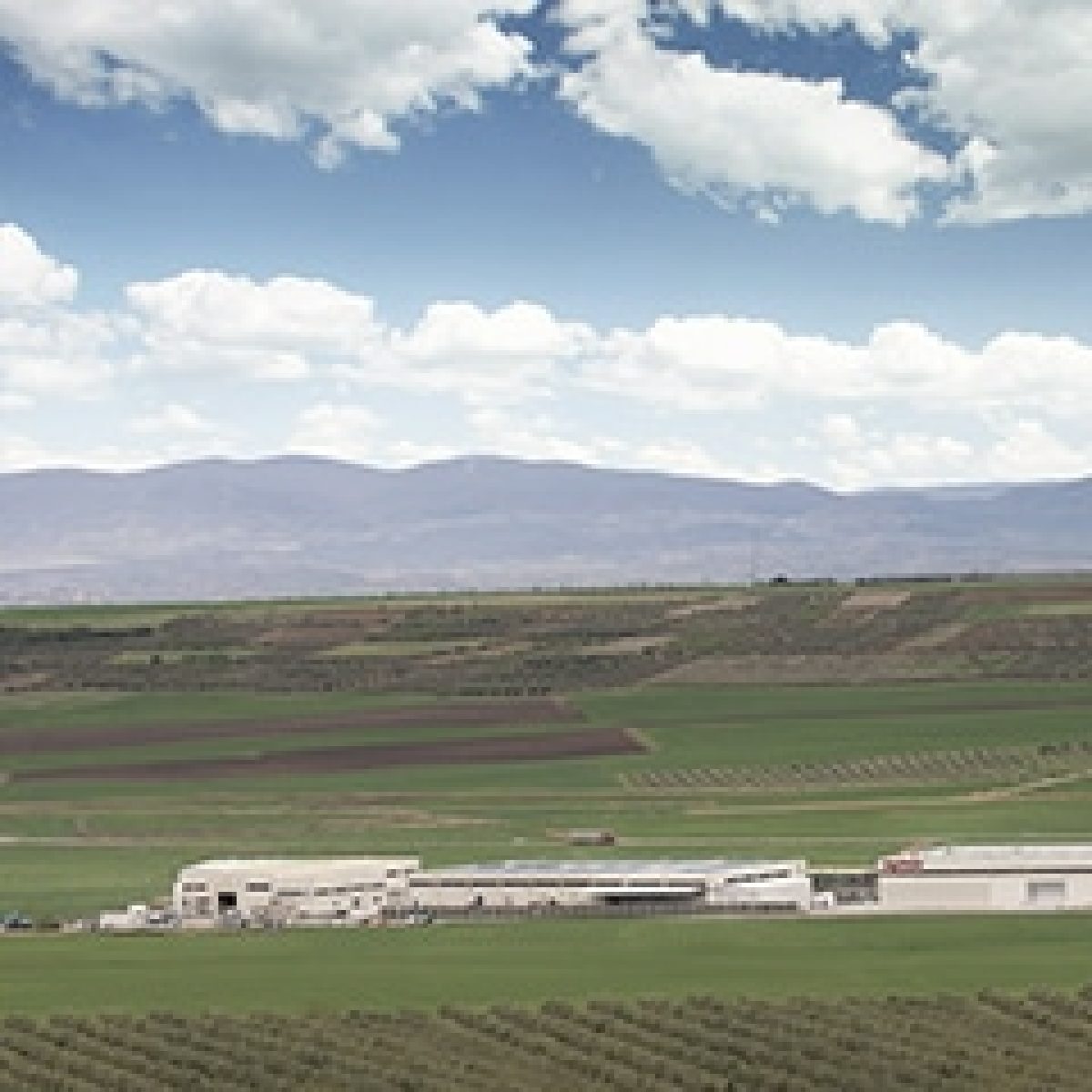 Ingeteam reaches 50GW installed wind capacity milestone image