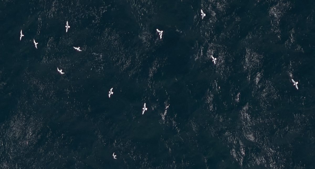 APEM Group Enhances Digital Aerial Survey Data Precision with IMU Technology image