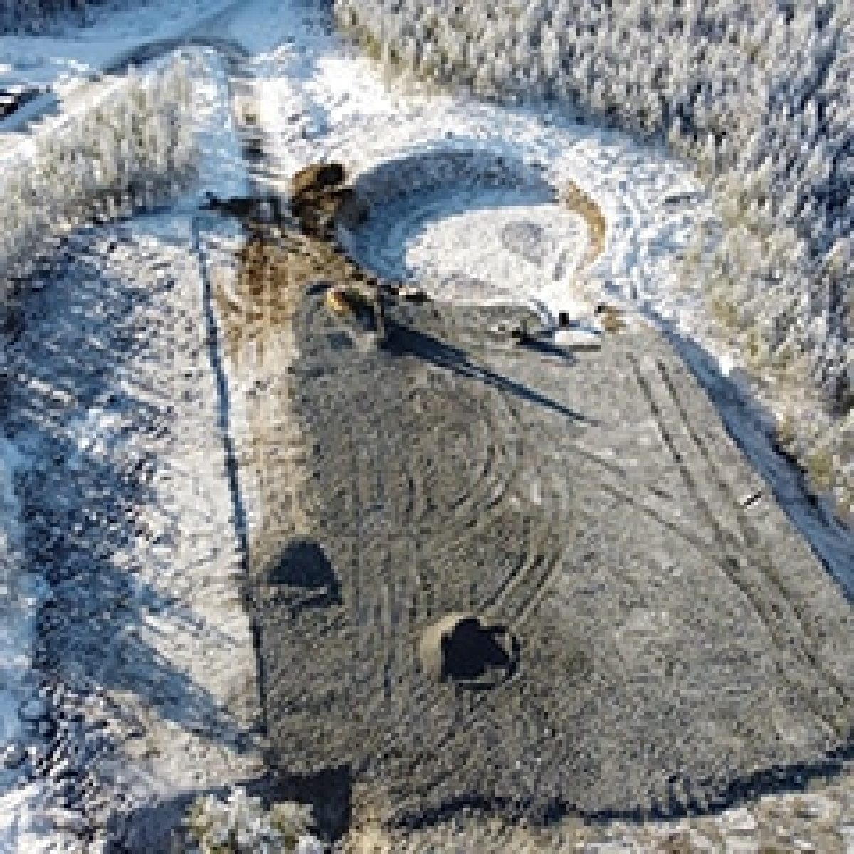 Natural Power advises on Finland's largest onshore wind farm image