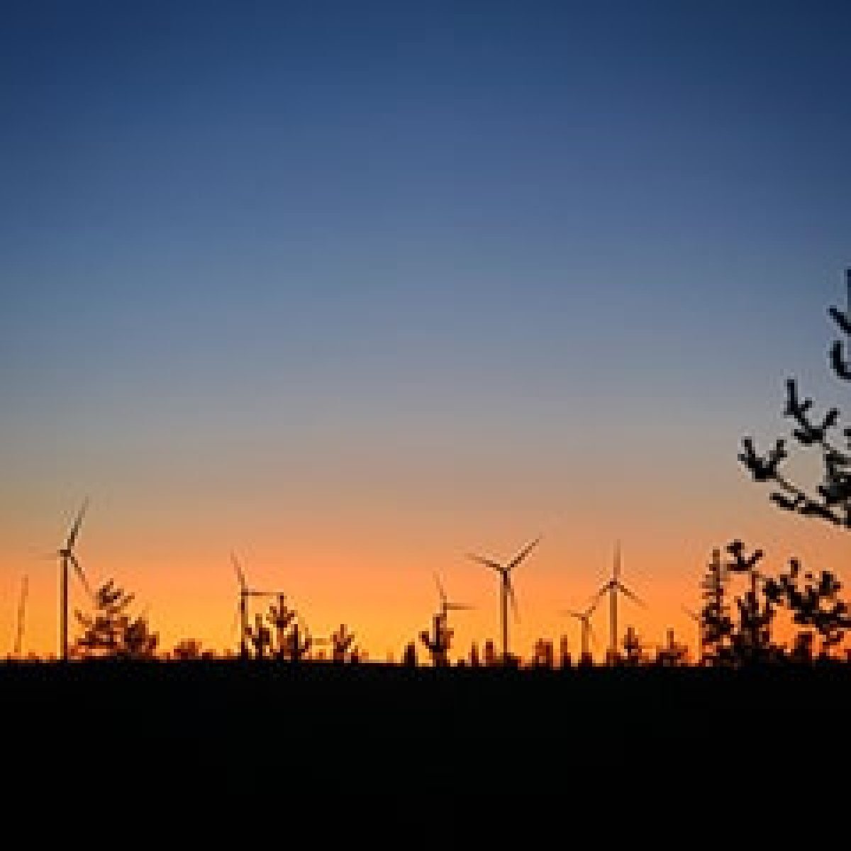Natural Power advises Green Investment Group on trio of Nordic wind projects image
