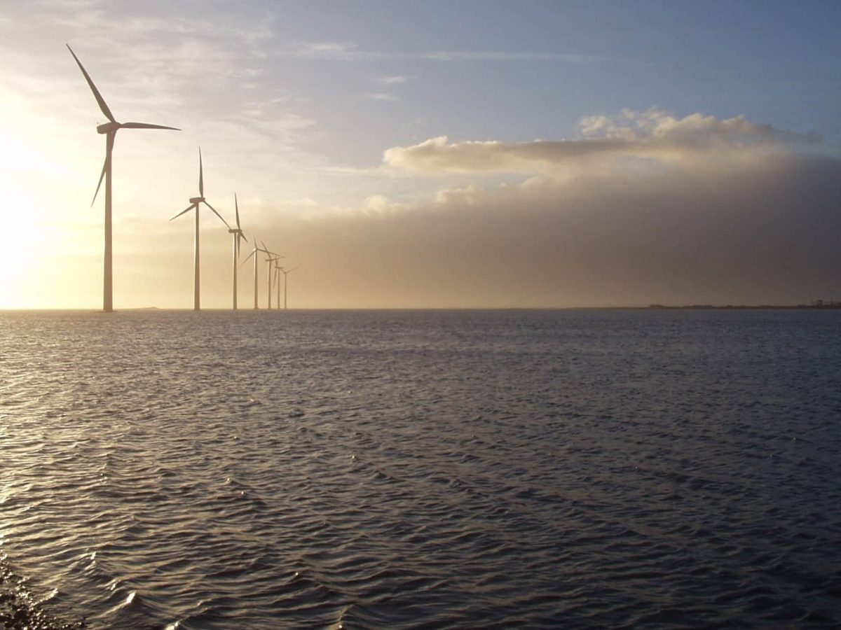 Offshore wind cable protection database to improve understanding of environmental impacts image