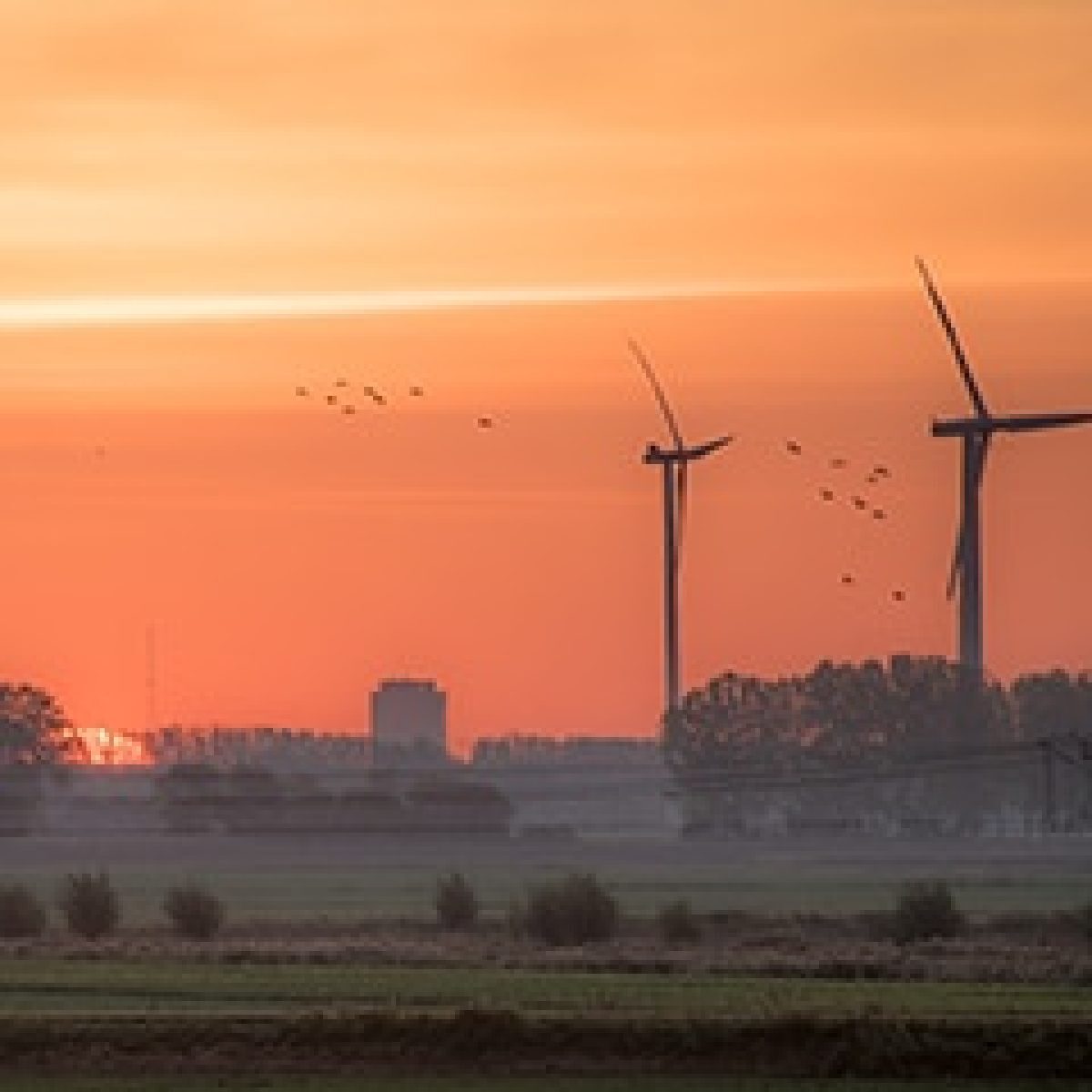 ArcVera Renewables investigates causes of a significant drop in Indian wind resource and wind farm production image