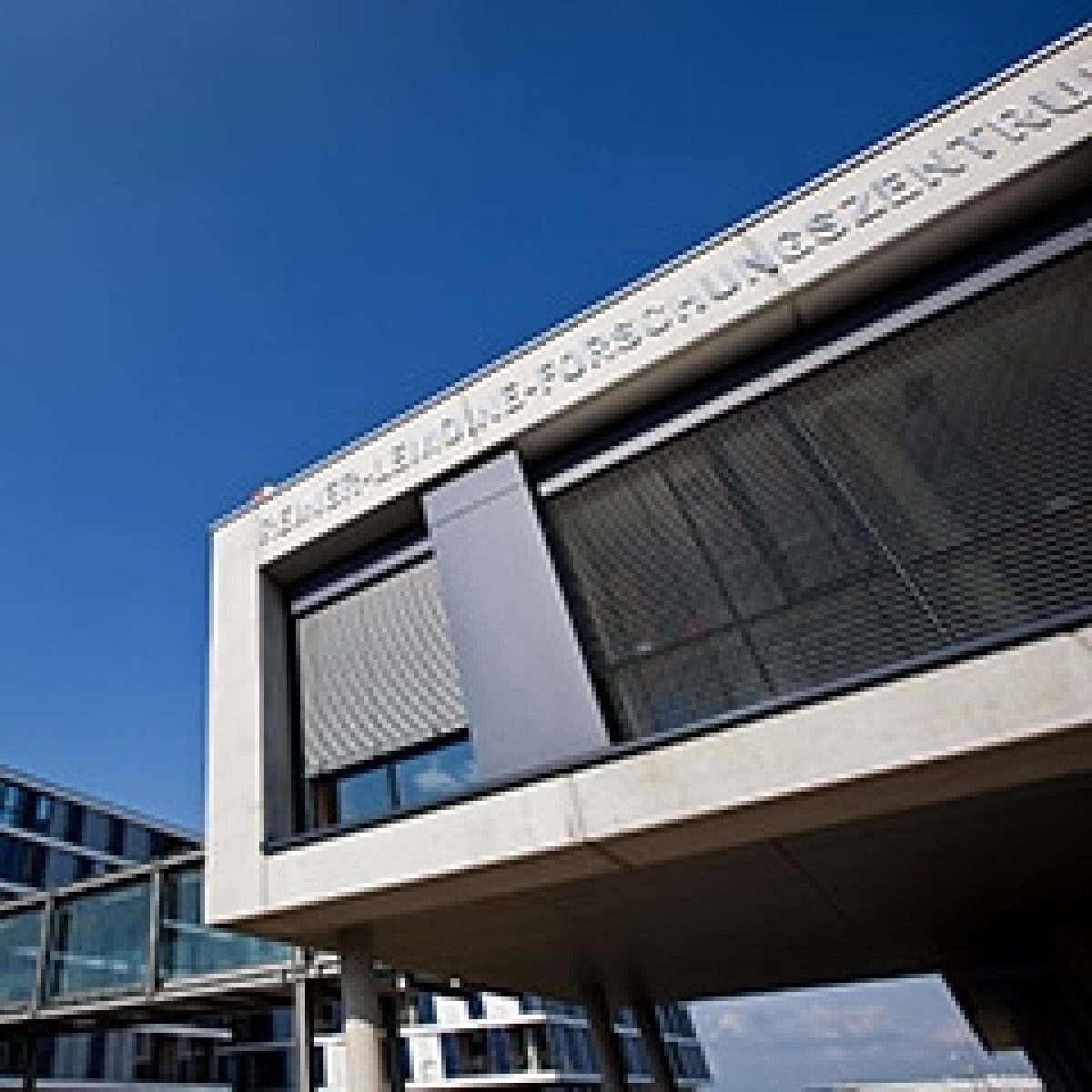 Q CELLS ramps up R&D investment to accelerate commercialization of n-type PV technology image
