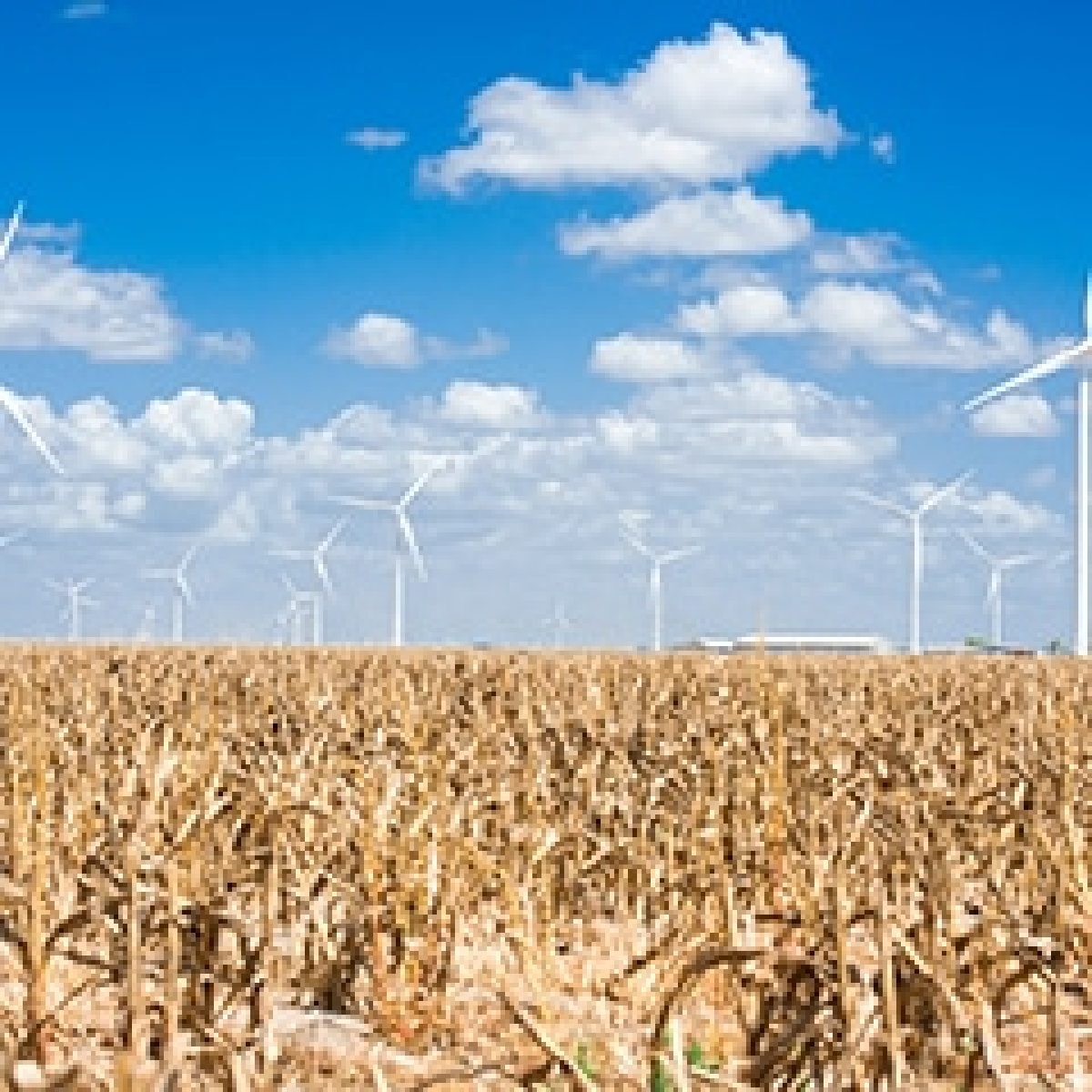 Siemens Gamesa and Orsted sign their first U.S. onshore project image