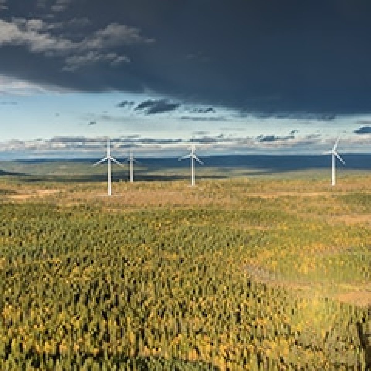 Siemens Gamesa blazes a trail in Sweden securing first order for industry leading 170-meter rotor onshore turbine image