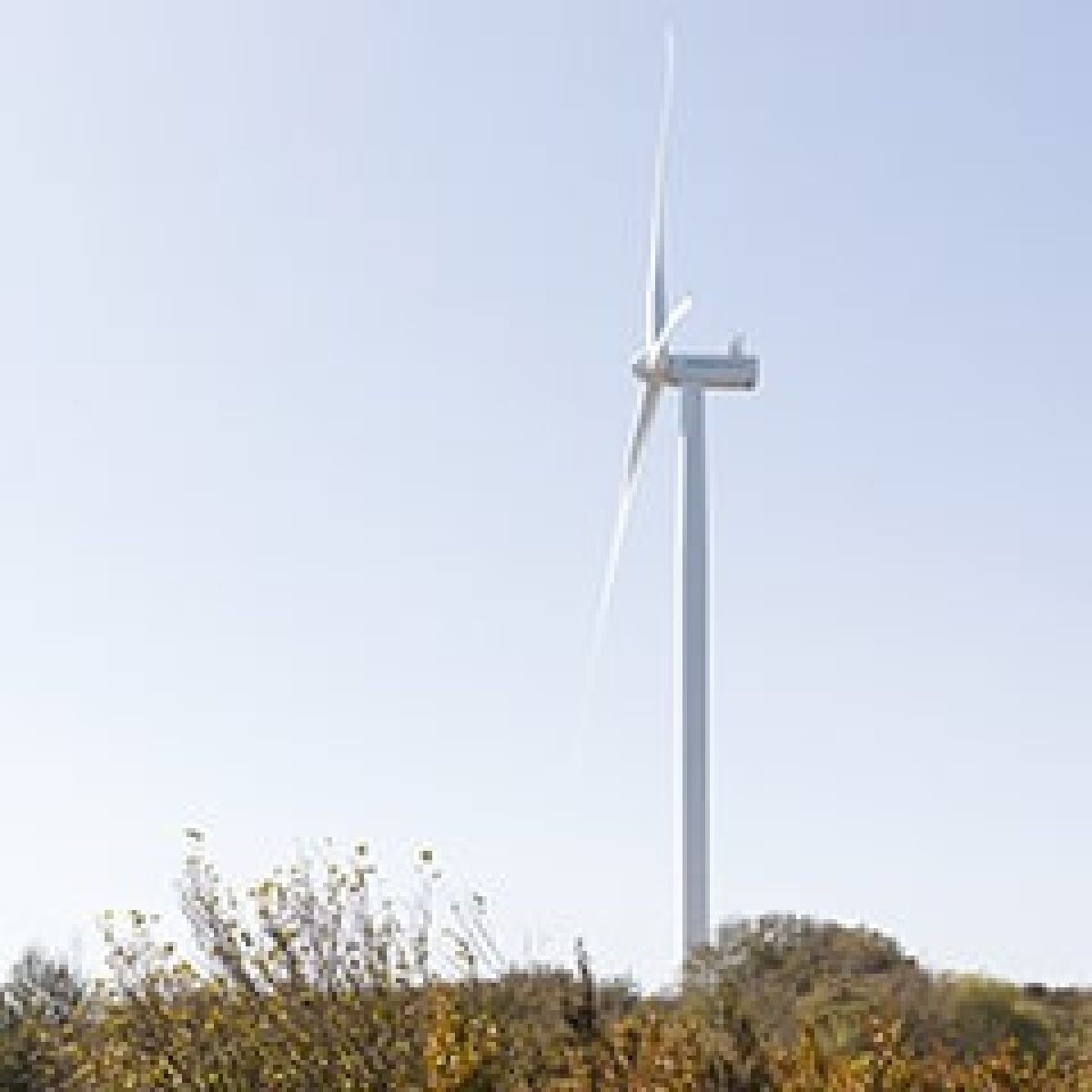Siemens Gamesa and Repsol wrap up their first deal to install 120 MW across four wind farms in Spain image