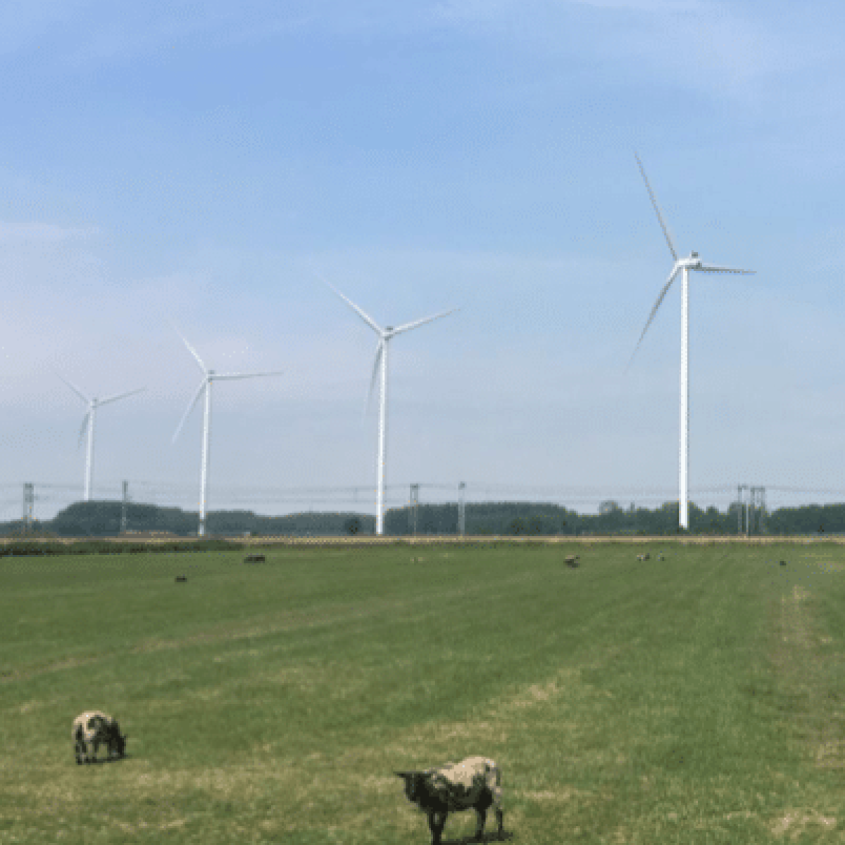 Windpark Deil in the Netherlands Starts Commercial Operation image