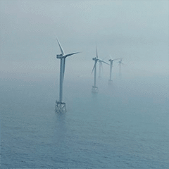 The show must go on! image