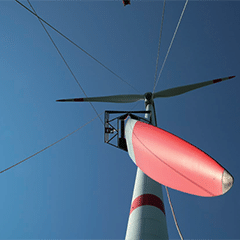 Pulling much more than its own weight image