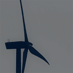 How independent real-time ocean insights support offshore wind insurance image